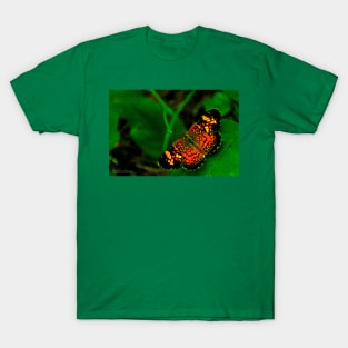 Butterfly Visit T-Shirt